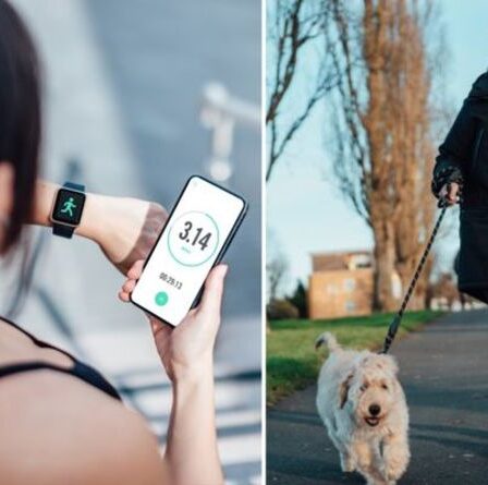 « Jamais un mauvais moment » pour commencer un programme de remise en forme – commencez par « promener le chien »