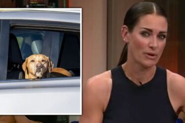 « Je me fâche » Kirsty Gallagher enrage contre les propriétaires qui laissent des chiens dans les voitures « ne le faites pas ! »