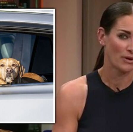 « Je me fâche » Kirsty Gallagher enrage contre les propriétaires qui laissent des chiens dans les voitures « ne le faites pas ! »
