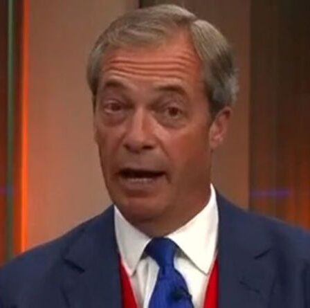 "Je ne peux pas supporter l'idée que le Brexit Grande-Bretagne réussisse!"  Farage se moque de l'UE pour son soutien à l'Italie