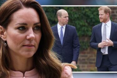 Kate a été laissée «dévastée» et «profondément affectée» par la faille de Harry et William