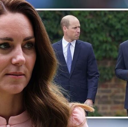 Kate a été laissée «dévastée» et «profondément affectée» par la faille de Harry et William