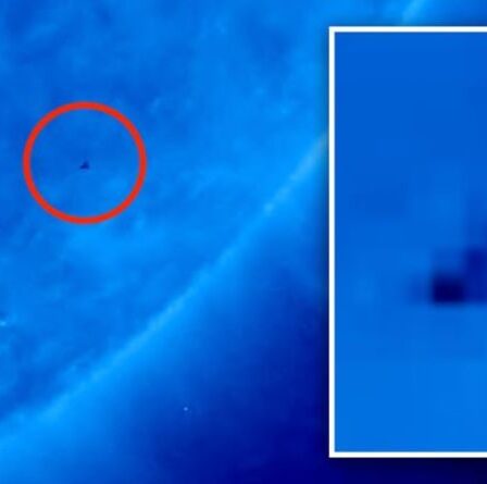 L'OVNI du "triangle noir" repéré près de Sun est gardé secret du public, affirme un chasseur ET