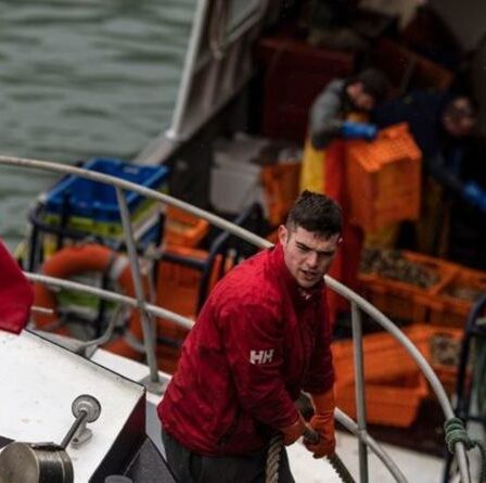 L'UE l'obtient enfin ! L'eurodéputé admet que la flotte de pêche du bloc a "perdu du terrain important face au Brexit"