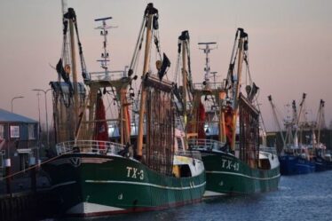 L'UE mène une guerre de la pêche alors que le tir à la mouche pourrait mettre l'industrie britannique au bord de l'effondrement