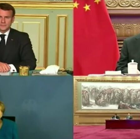 "La Chine et l'UE doivent aller de l'avant" Xi Jinping fait allusion à des liens plus étroits après la réunion Merkel et Macron