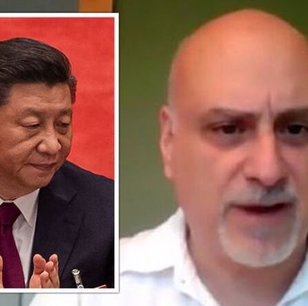 La Chine vise le renversement de l'ordre mondial alors qu'un expert met en garde contre la montée de "l'autoritarisme brutal"