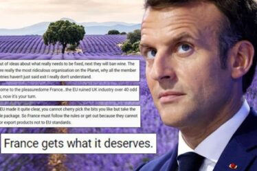 "La France obtient ce qu'elle mérite pour l'arrogance de Macron" Les Britanniques se déchaînent contre l'étrange interdiction de la lavande