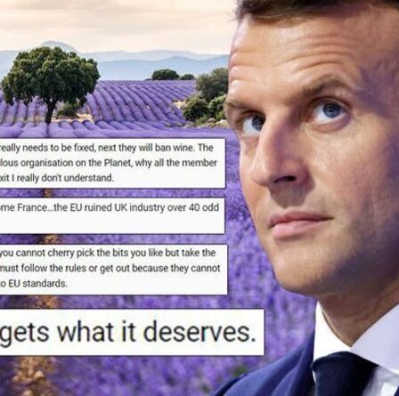 "La France obtient ce qu'elle mérite pour l'arrogance de Macron" Les Britanniques se déchaînent contre l'étrange interdiction de la lavande