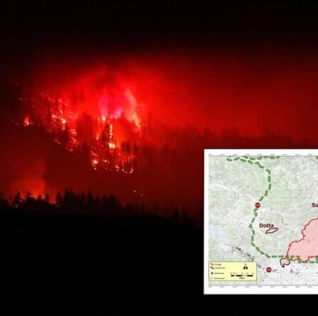 La carte des incendies en Californie montre une propagation stupéfiante de l'incendie du complexe Beckwourth alors que 20 maisons ont disparu