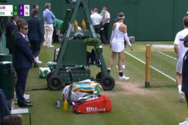 La danseuse de balle de Wimbledon « hurle de douleur » après avoir glissé avec des médecins se précipitant à son secours