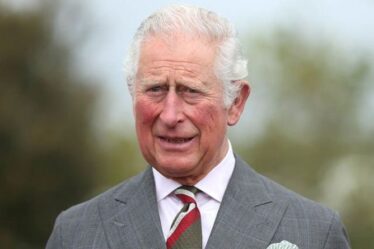 La famille royale "secouée" par les mémoires du prince Harry avec Charles "particulièrement préoccupé"