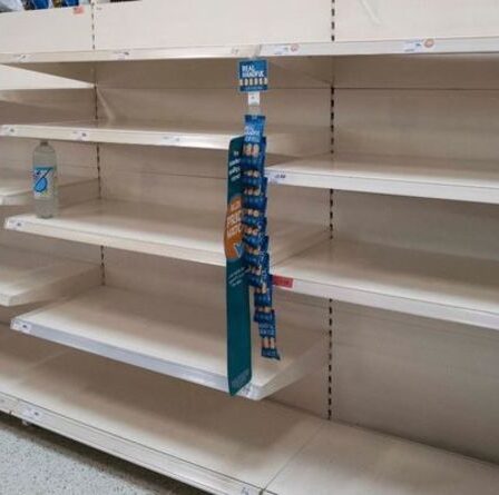 La pénurie alimentaire déclenche un "point de crise" pour les producteurs - "le poulet et la dinde sont menacés"