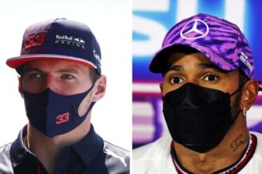 La pétition sur le crash de Lewis Hamilton et Max Verstappen lancée par Red Bull