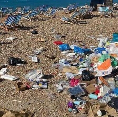 La plage de Brighton laissée dans un état épouvantable après que les chercheurs de soleil se soient prélavés dans une canicule torride