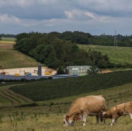 La police pourrait acquérir de nouveaux pouvoirs pour SAISIR des chiens – Le député demande une action contre les attaques de bétail