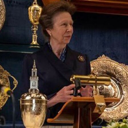 La princesse Anne coupe une silhouette frappante en images alors qu'elle est honorée d'un nouveau prix