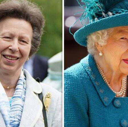 La princesse Anne remplace la reine Elizabeth II lors d'une importante cérémonie royale