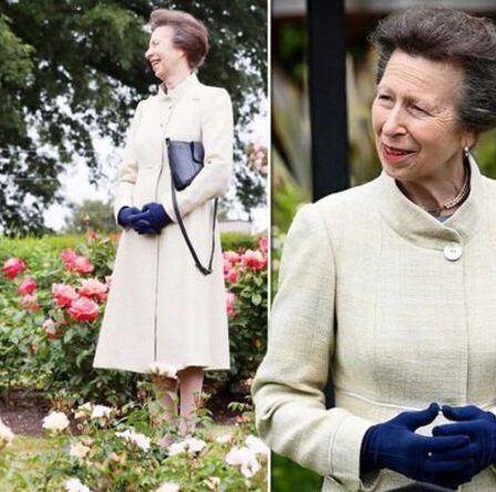 La princesse Anne « ultime pro » impressionne en Irlande du Nord – « quelle dame merveilleuse »