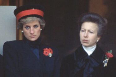 La princesse Diana a embarrassé Anne après avoir fait en sorte que le roi ait l'air déconnecté en public