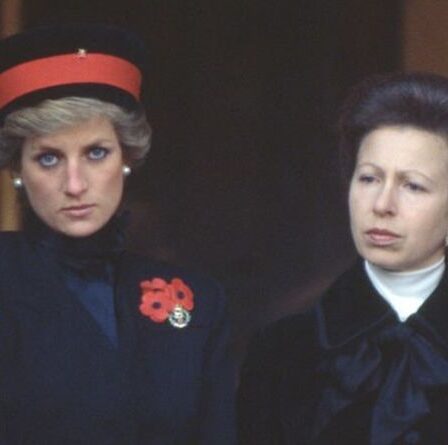 La princesse Diana a embarrassé Anne après avoir fait en sorte que le roi ait l'air déconnecté en public