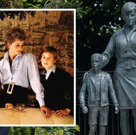 La princesse Diana photographiée dans une tenue qui "a inspiré la statue" - les fans royaux convaincus