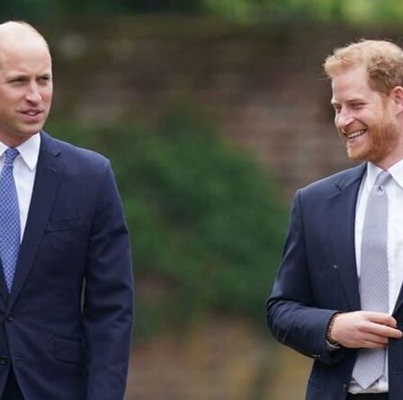 « La querelle n'est pas terminée ! »  Harry et William « ont peut-être eu un coaching » pour regarder de près la cérémonie