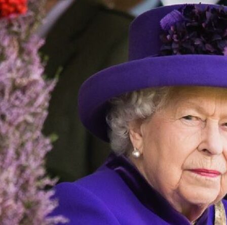 La reine «en deuil» cherche «la joie dans le son du courlis» avec un projet de conservation