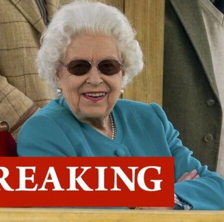 La reine rayonne au Royal Windsor Horse Show préféré après que Harry et William aient mis de côté la faille