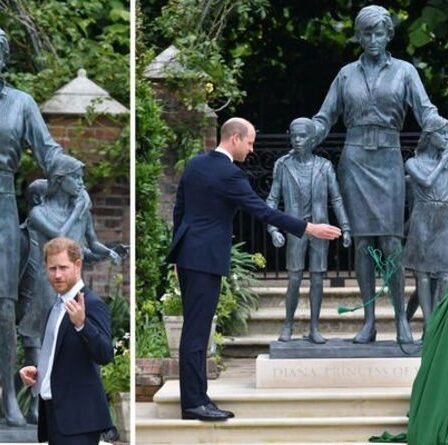 La statue de Diana dévoilée : premières photos de la princesse de Galles entourée de trois enfants