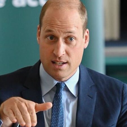 La stratégie royale pour contrer Harry dévoilée alors que William décide de "s'élever au-dessus" des affirmations de ses mémoires