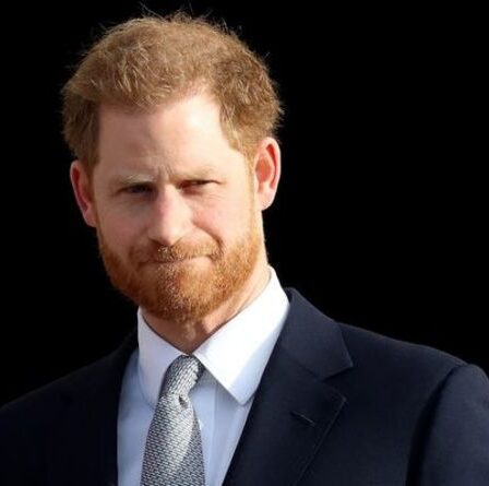 La voix du prince Harry "rarement entendue" entre les murs royaux - "Peut avoir été déclenchée"