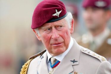 Langage corporel du prince Charles: le futur roi «humilié» lors d'une sortie militaire historique – photos