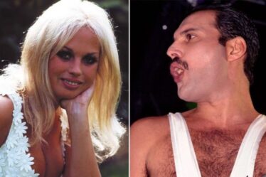 L'autre femme de Freddie Mercury après Mary "Ils étaient amoureux, elle était encore plus sauvage que lui"