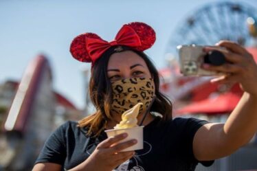 Le célèbre dessert Dole Whip de Disney est maintenant vendu au zoo de Chester