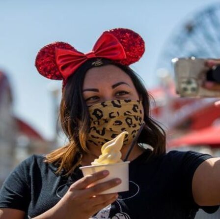 Le célèbre dessert Dole Whip de Disney est maintenant vendu au zoo de Chester