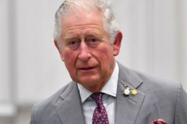 Le commentaire "offensant" du prince Charles à propos de Diana a déclenché une querelle flamboyante avec son frère
