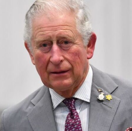 Le commentaire "offensant" du prince Charles à propos de Diana a déclenché une querelle flamboyante avec son frère
