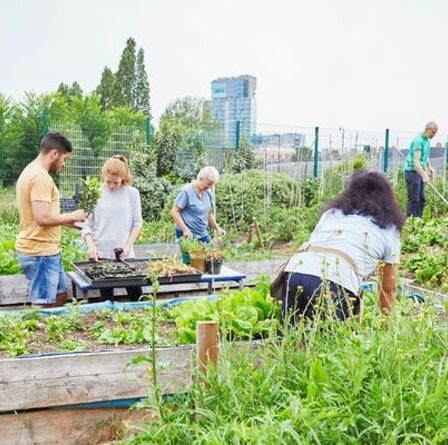 Le conseil laisse les habitants furieux alors qu'il déterre des parcelles après la découverte d'un «sol toxique»