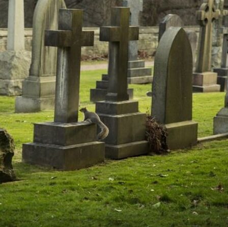 Le conseiller dit que "tout le monde devrait être incinéré et jeté à la mer" lors d'un débat houleux sur le cimetière