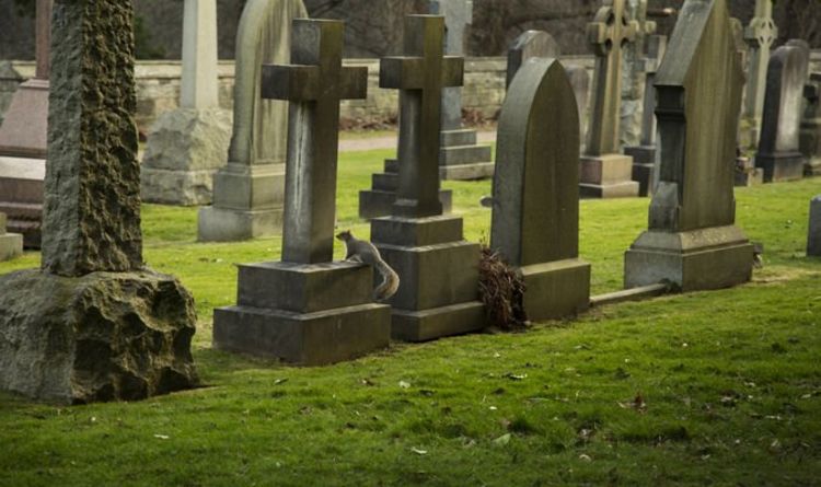 Le conseiller dit que "tout le monde devrait être incinéré et jeté à la mer" lors d'un débat houleux sur le cimetière