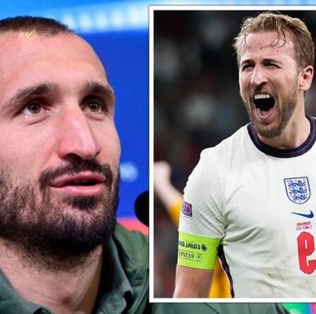 Le discours de Harry Kane sur le Brexit moqué alors que le capitaine italien a affirmé que la sortie du Royaume-Uni "ne changera rien"