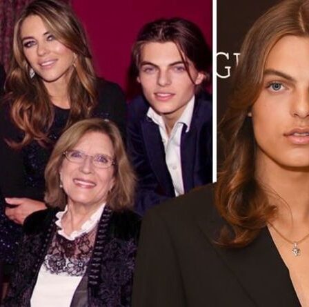 Le fils de Liz Hurley, Damian, rompt le silence après avoir été privé de la fortune de 180 millions de livres sterling de feu son père