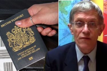 Le gouvernement contraint de « supprimer » le « vérificateur de passeports » en ligne après un « carnage » de voyage