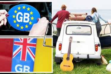 Le gouvernement interdit l'autocollant emblématique du Royaume-Uni et exhorte les Britanniques à acheter une nouvelle plaque d'immatriculation au Royaume-Uni à la place