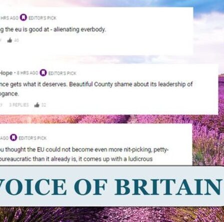 « Le leadership de l'arrogance ! »  Les Britanniques ridiculisent la décision "ridicule" de l'UE d'interdire la lavande