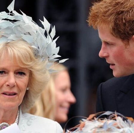 Le lien « tendu » de Camilla avec Harry pourrait figurer dans ses mémoires – « pourrait être très dommageable »