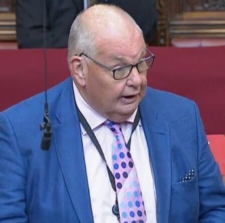 Le même vieux Labour !  Meddling Lord dit que les accords commerciaux sur le Brexit ne remplaceront PAS l'UE