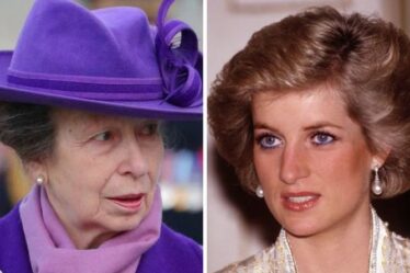 Le « mépris ardent » de la princesse Anne a forcé Diana à « fuir la pièce » dans un échange tendu