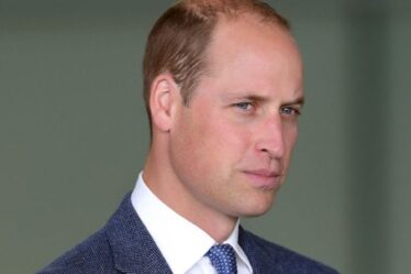 Le personnel du prince William « a planté des histoires sur la santé mentale de Harry », selon un expert royal